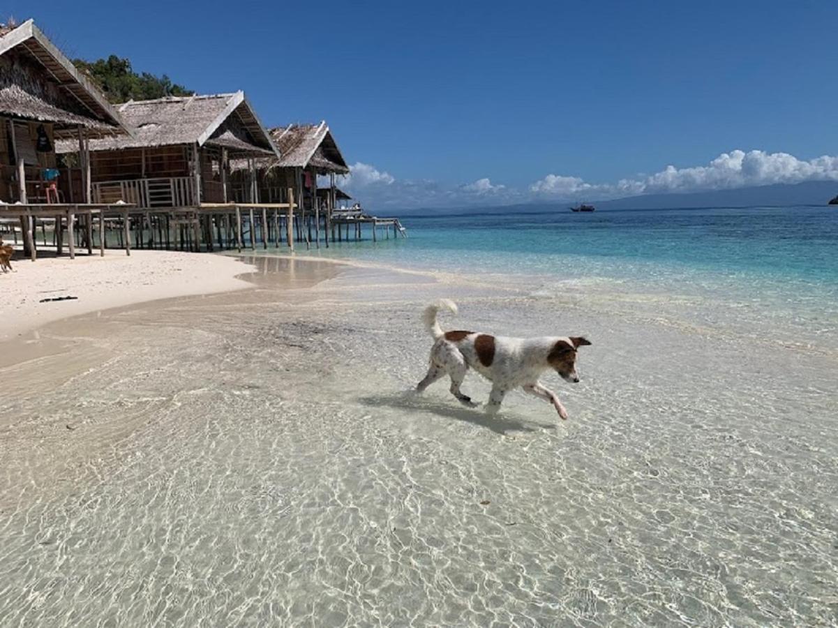 Nus Homestay Raja Ampat Kri Dış mekan fotoğraf